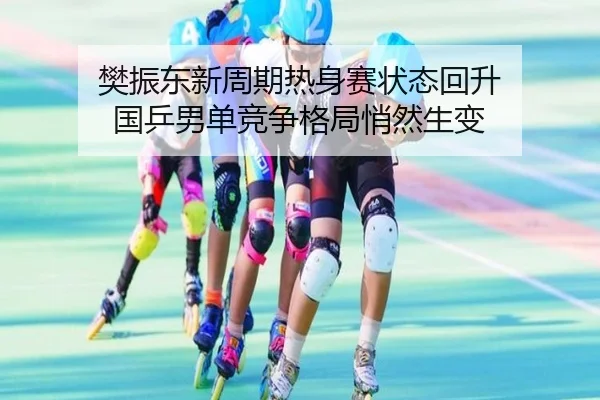 樊振东新周期热身赛状态回升 国乒男单竞争格局悄然生变